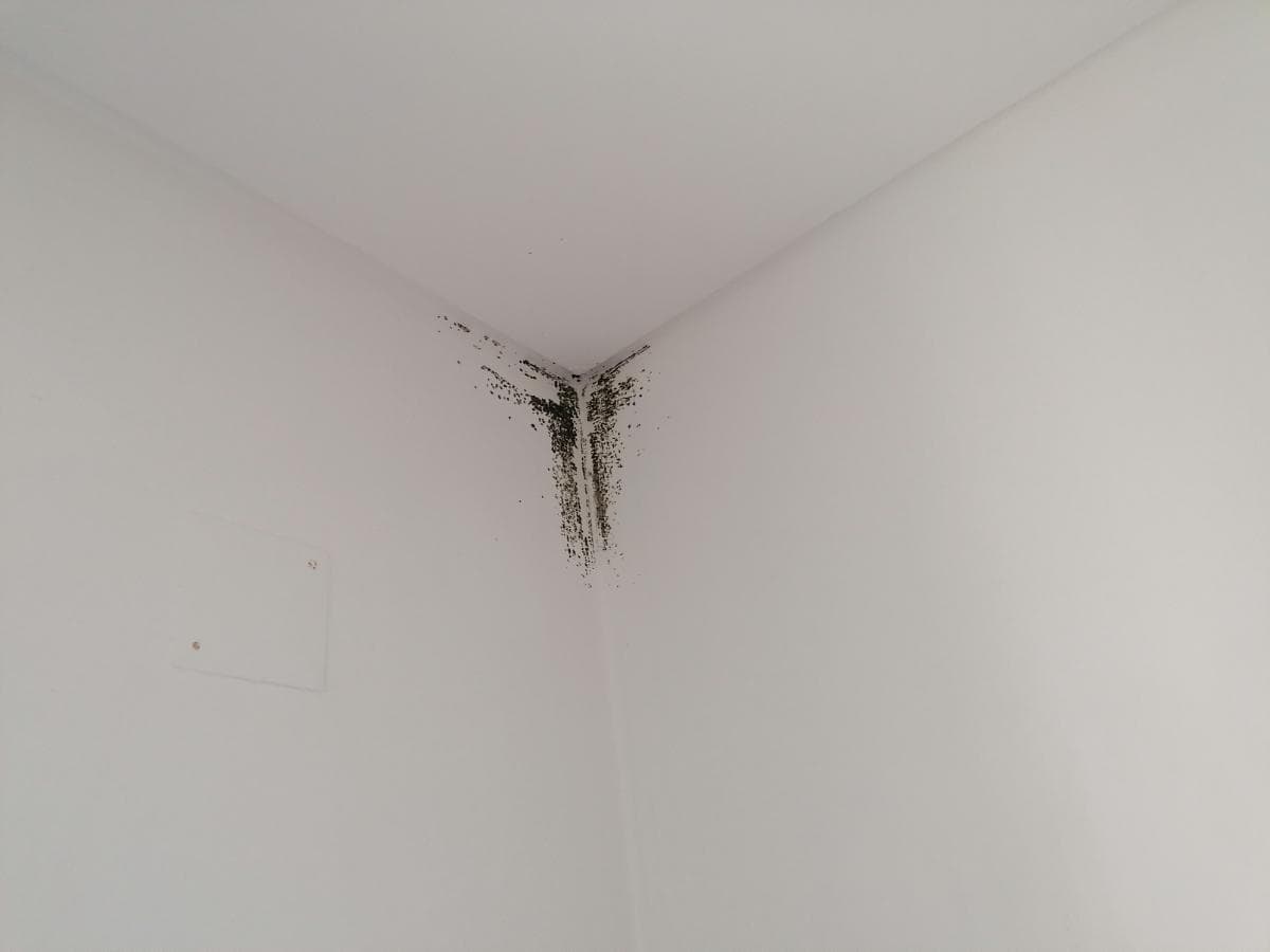 Apartamento T3 · Alfragide, Amadora — imagen 37