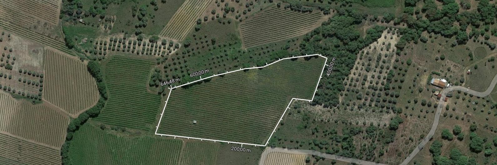 Vinha · Vidigueira, Beja — imagen 16