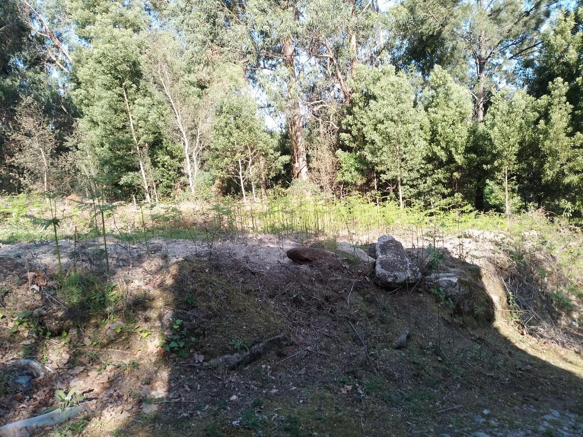 Terreno · Póvoa de Lanhoso — imagen 4