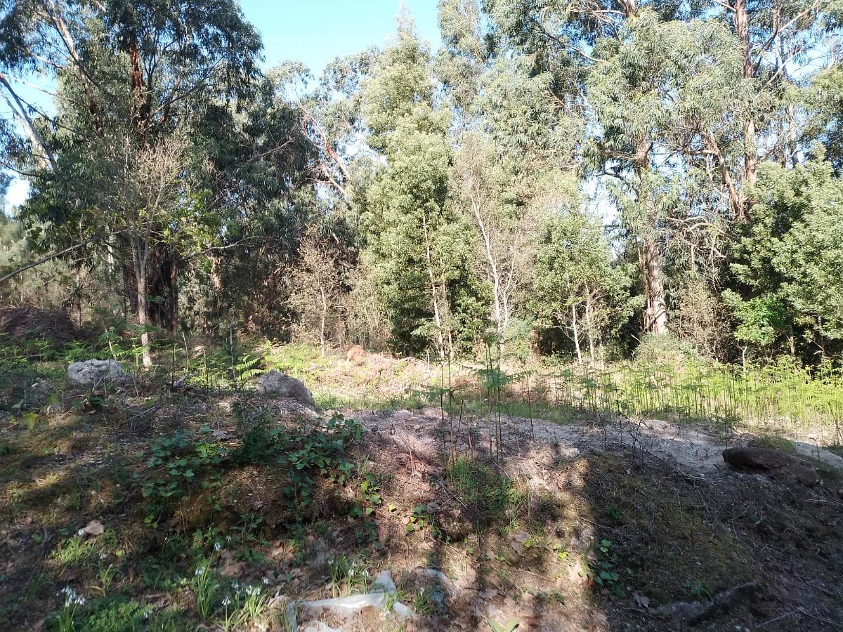Terreno · Póvoa de Lanhoso — imagen 3