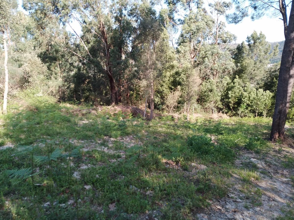 Terreno · Póvoa de Lanhoso — imagen 7