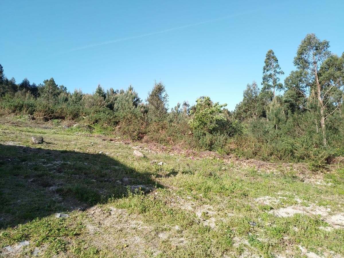 Terreno · Póvoa de Lanhoso — imagen 2
