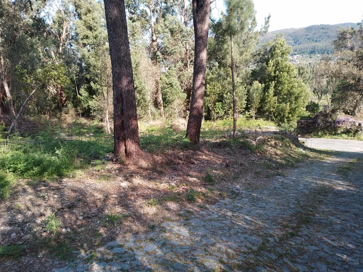Terreno · Póvoa de Lanhoso — imagen 6