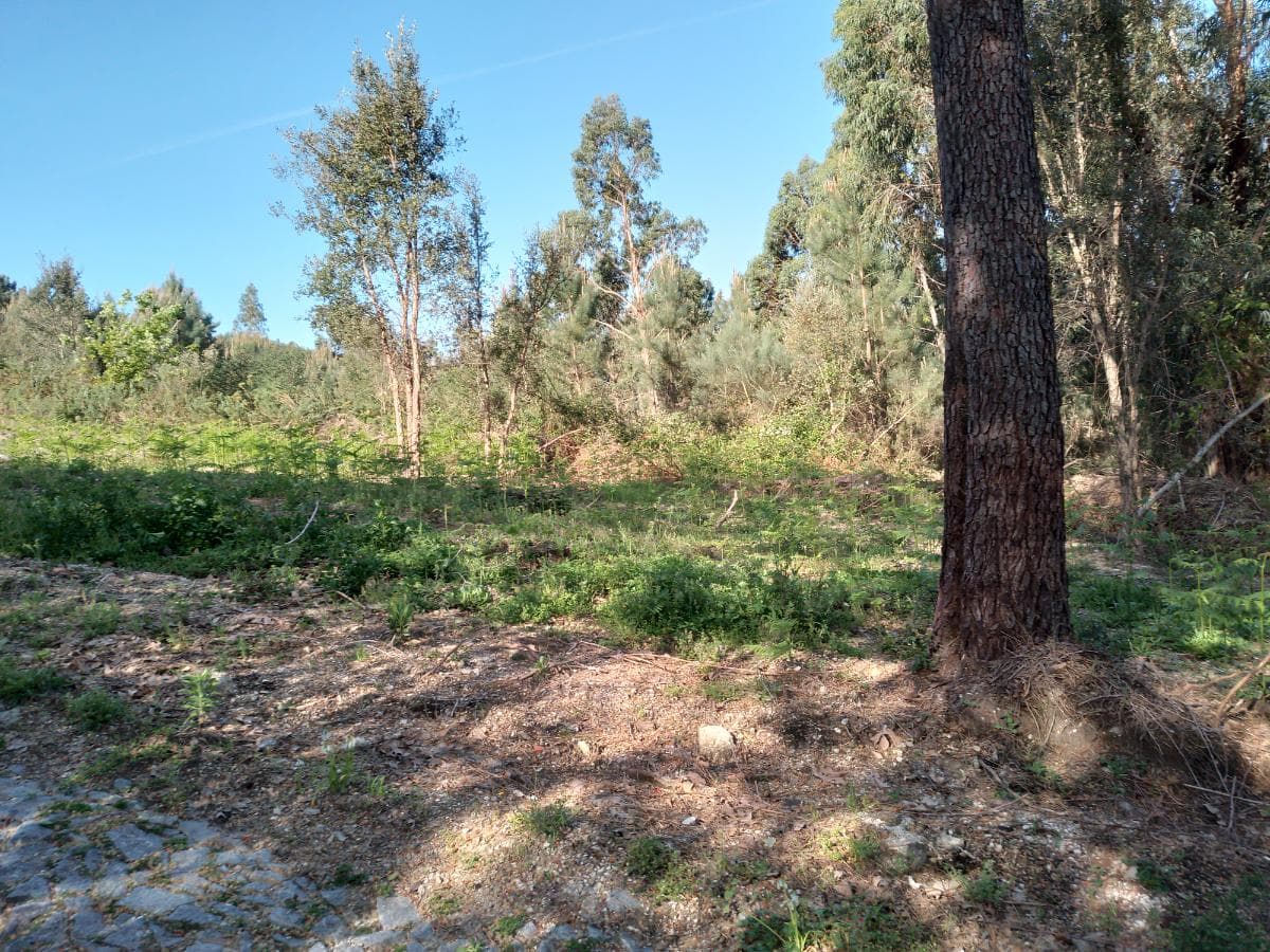 Terreno · Póvoa de Lanhoso — imagen 9