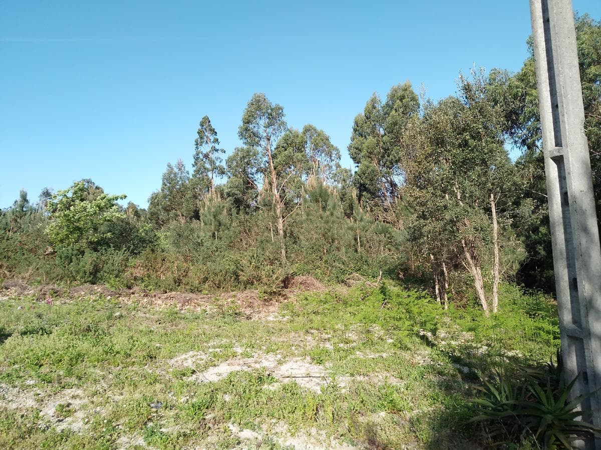 Terreno · Póvoa de Lanhoso — imagen 8