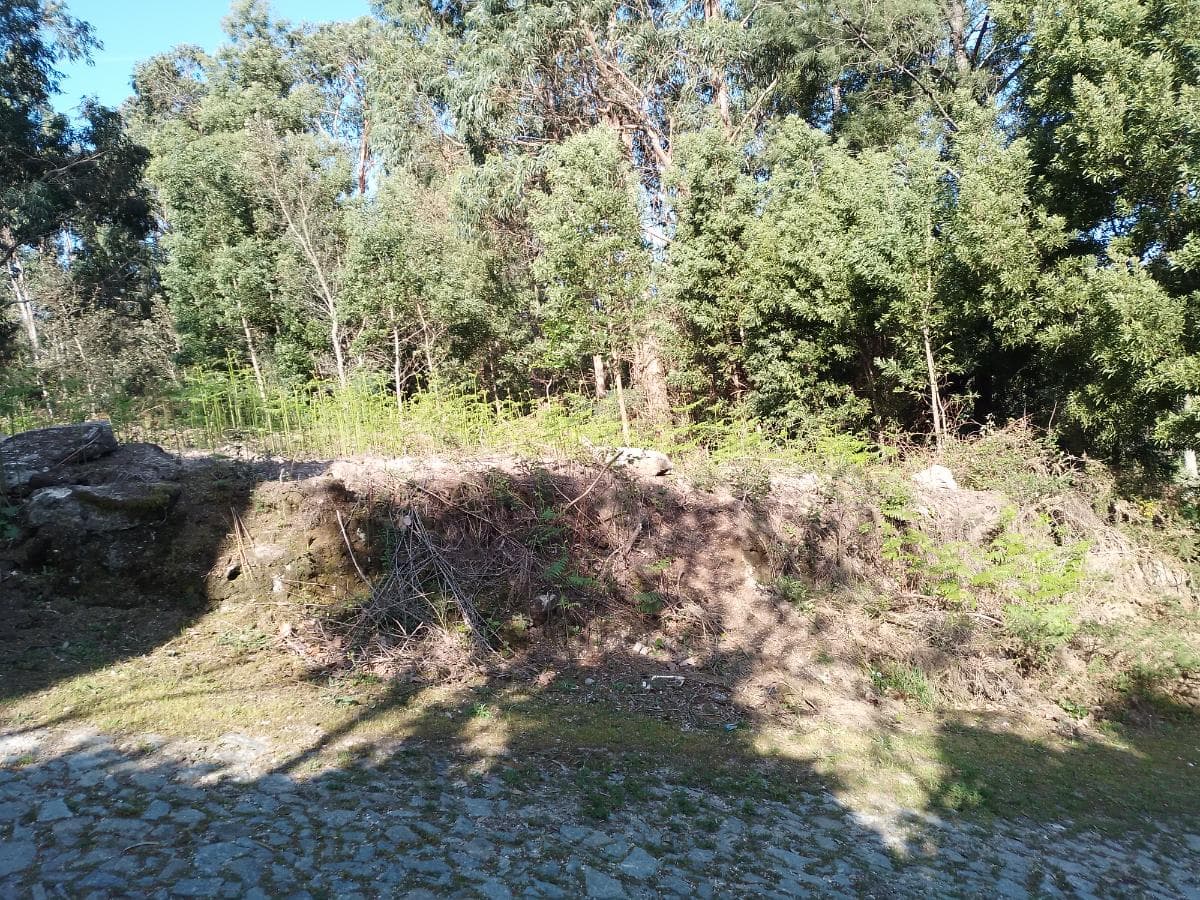 Terreno · Póvoa de Lanhoso — imagen 12