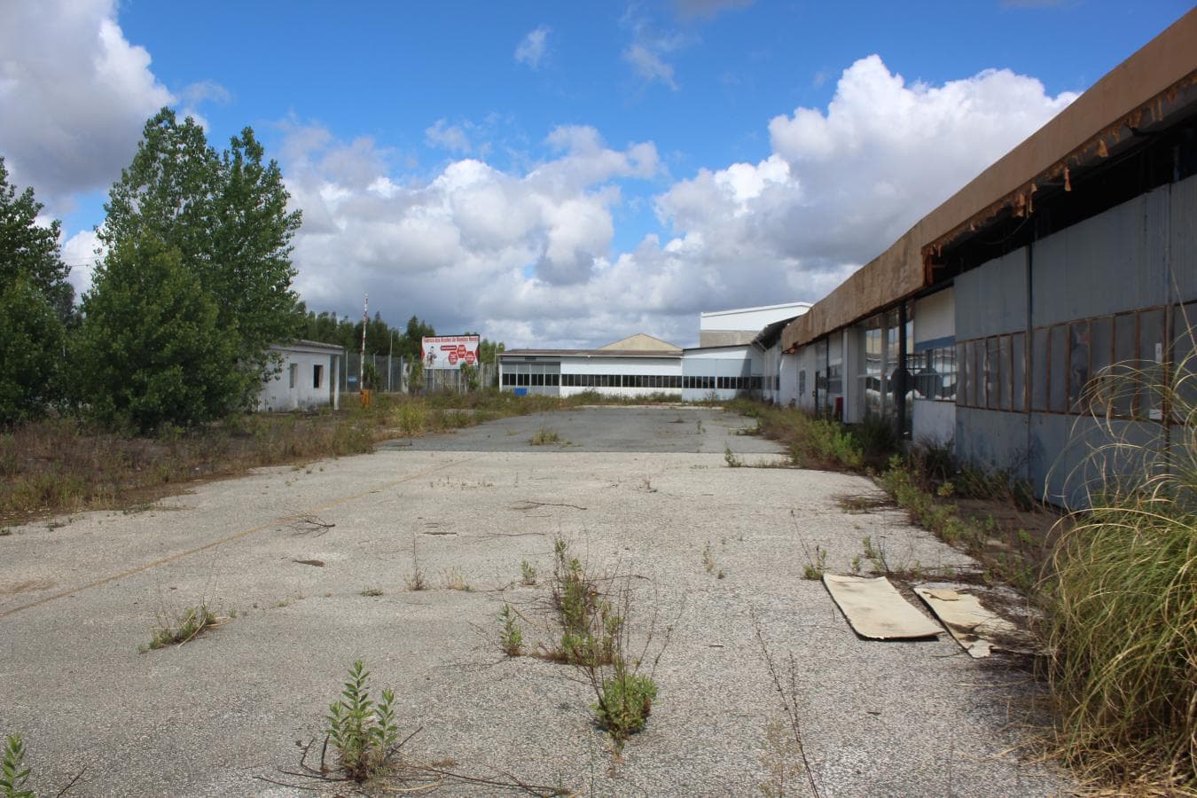 Armazém Industrial · Vendas Novas, Évora — imagen 4