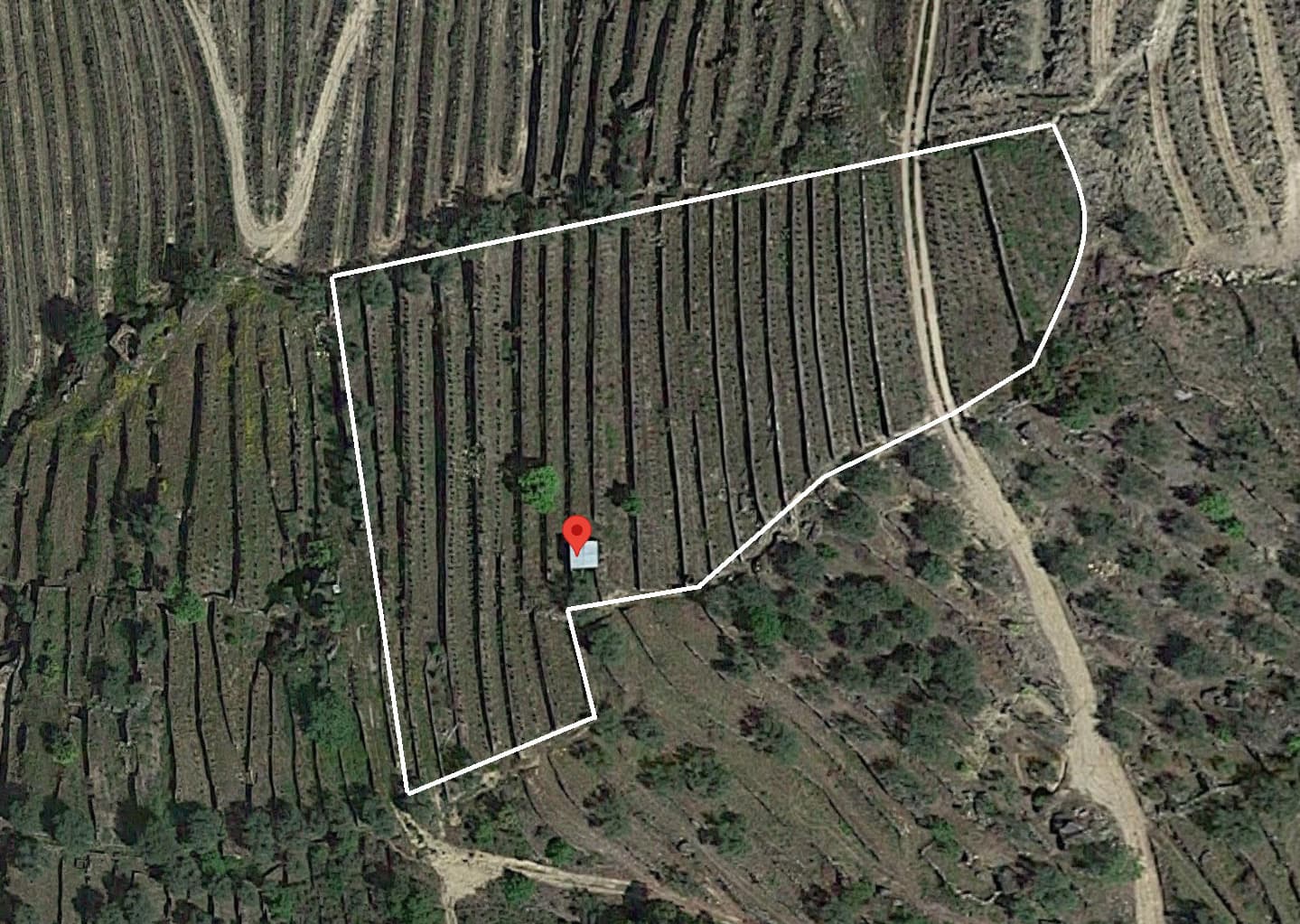 Direito de Usufruto de Terreno · Carrazeda de Ansiães, Bragança — image 4