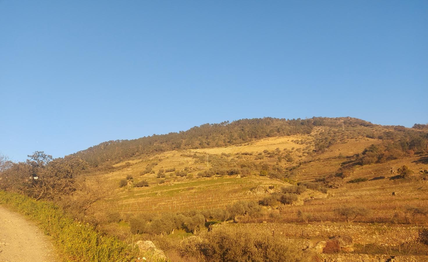 Direito de Usufruto de Terreno · Carrazeda de Ansiães, Bragança — image 3