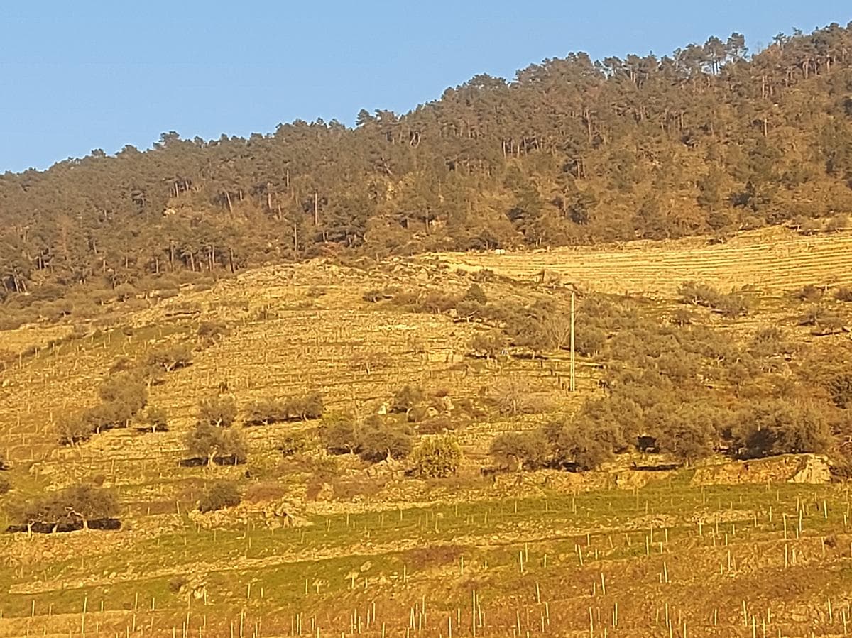Direito de Usufruto de Terreno · Carrazeda de Ansiães, Bragança — image 2