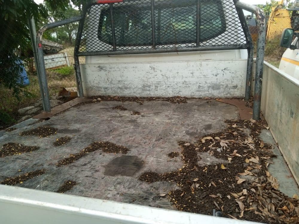 Double Cabin Van, VW — imagen 11