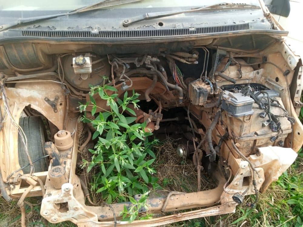 Double Cabin Van, VW — imagen 8