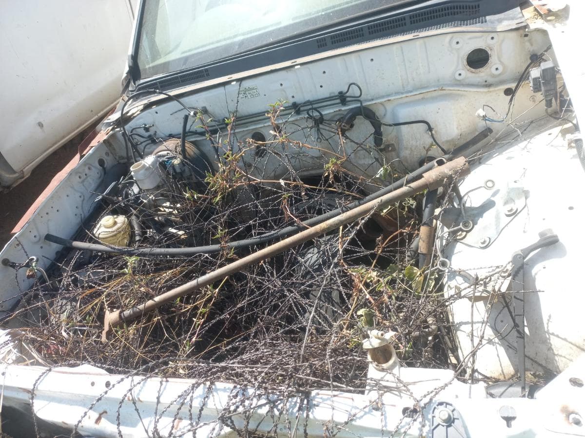 Pickup — imagen 4