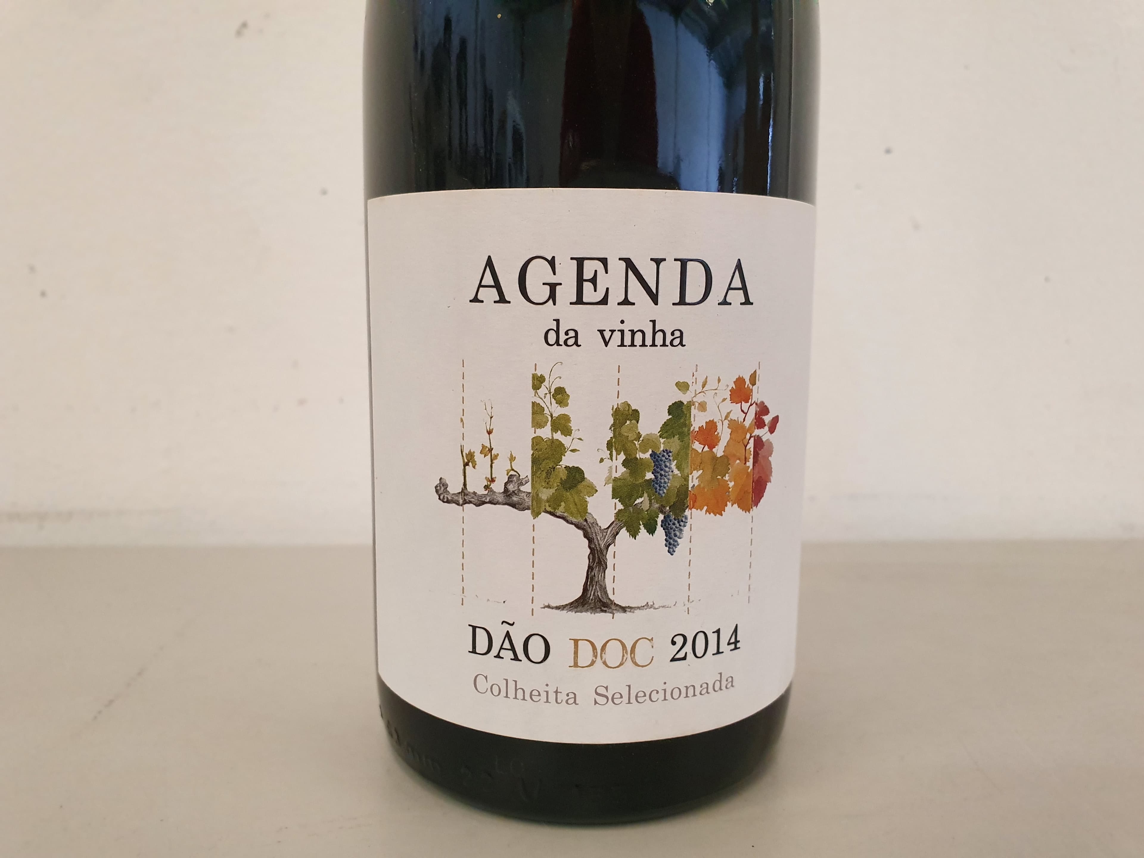 Garrafas Vinho — imagem 3