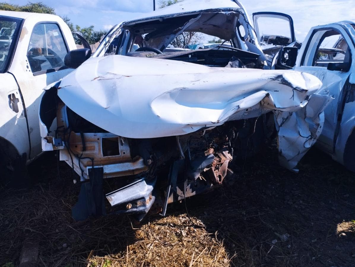 Pickup S/Cab 4x4 — imagen 1