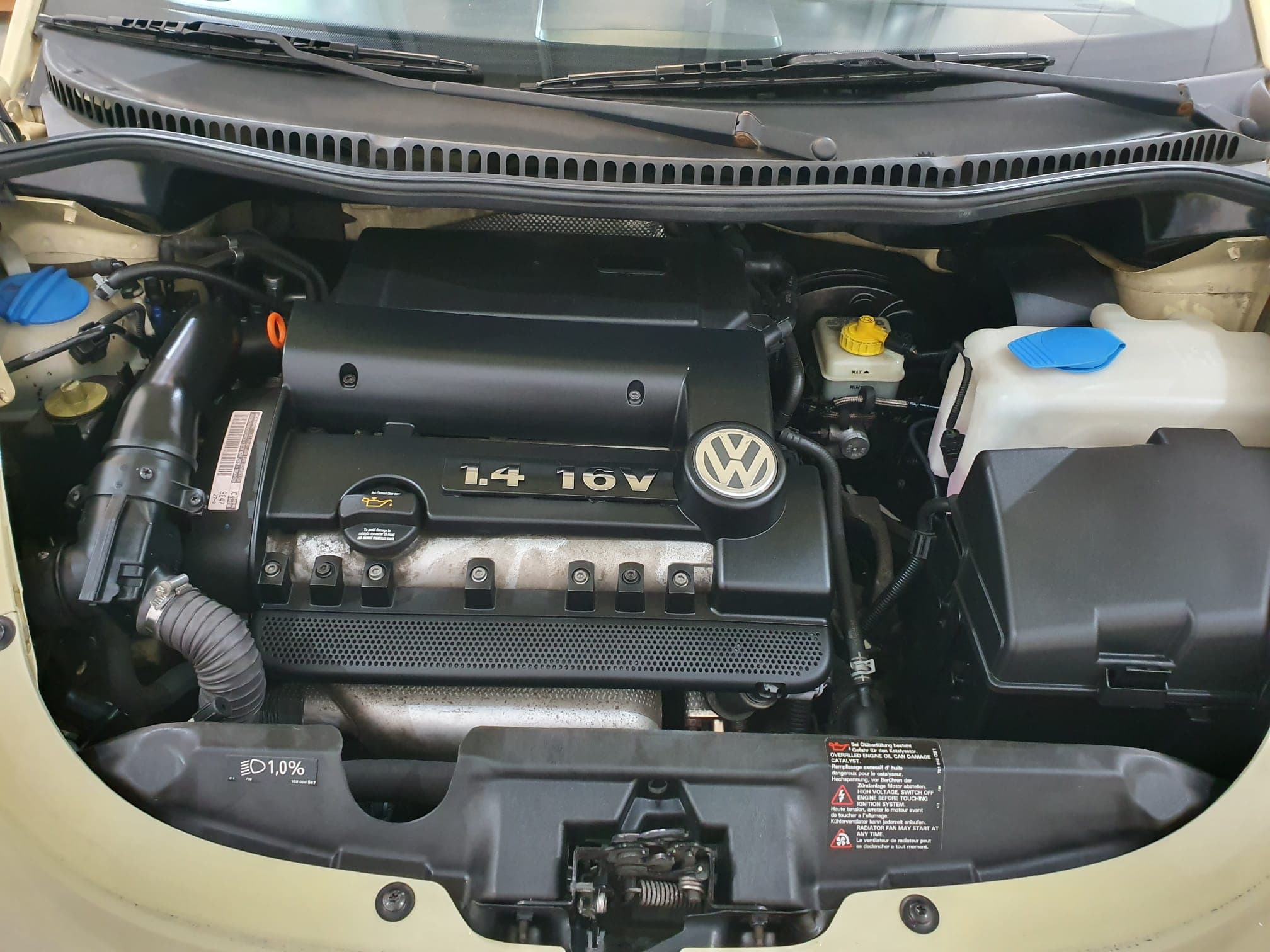 Volkswagen New Beetle Cabriolet 1.4 · Ano 2007 — imagen 18