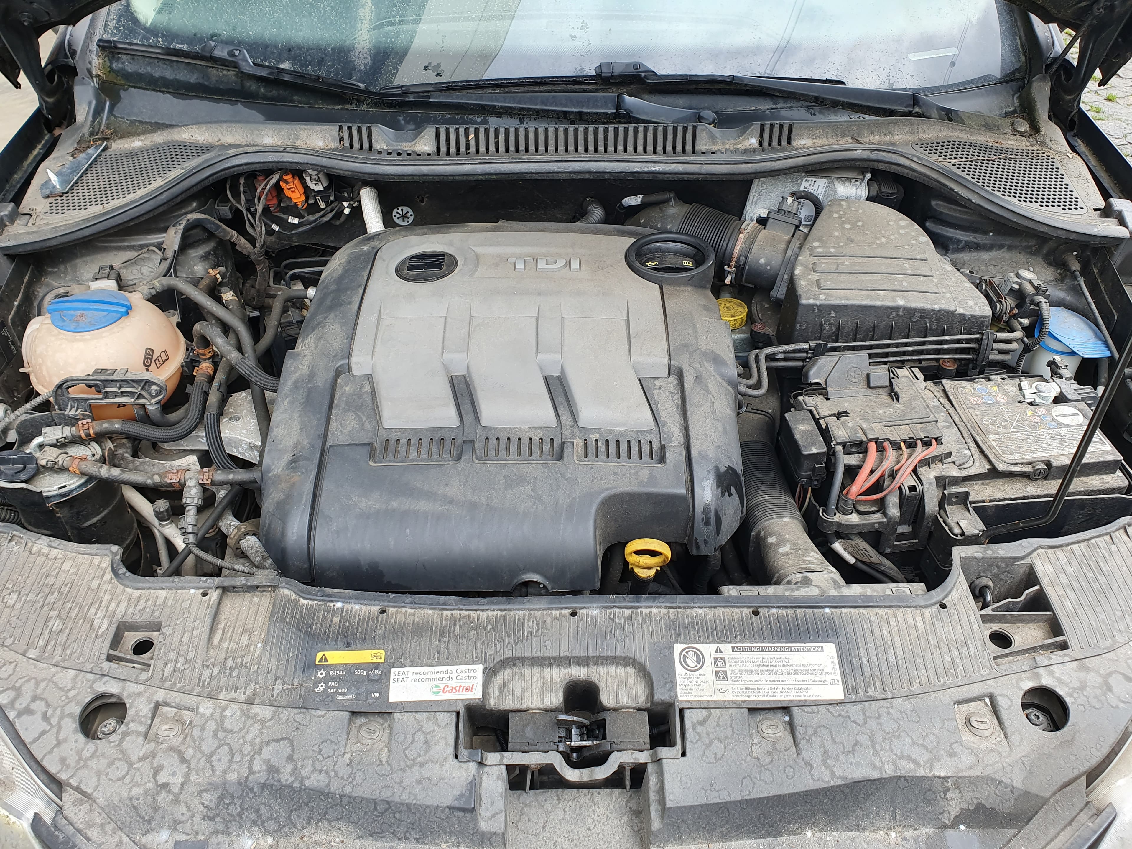 Seat Ibiza 1.2 TDI · Ano 2013 — imagen 19