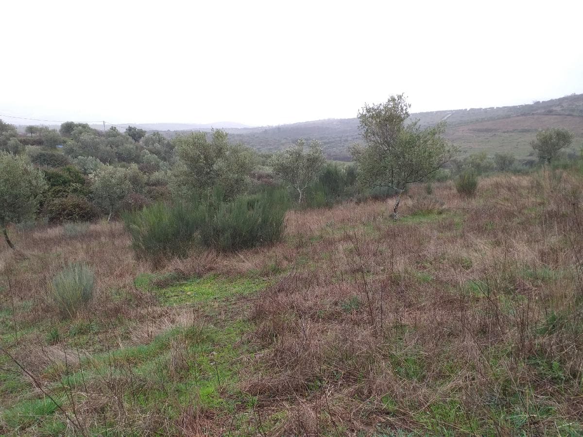 Terreno · Valpaços — imagem 3