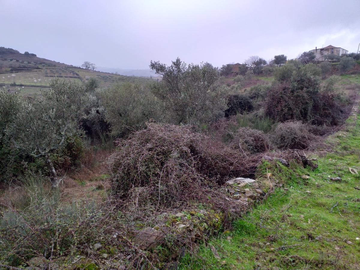 Terreno · Valpaços