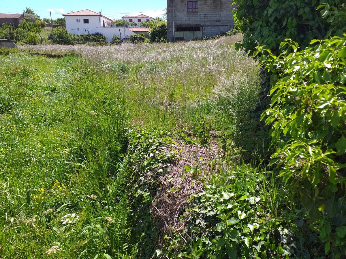 1/2 de Terreno · Valpaços — imagem 3