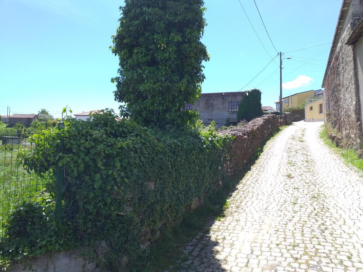1/2 de Terreno · Valpaços — imagem 6