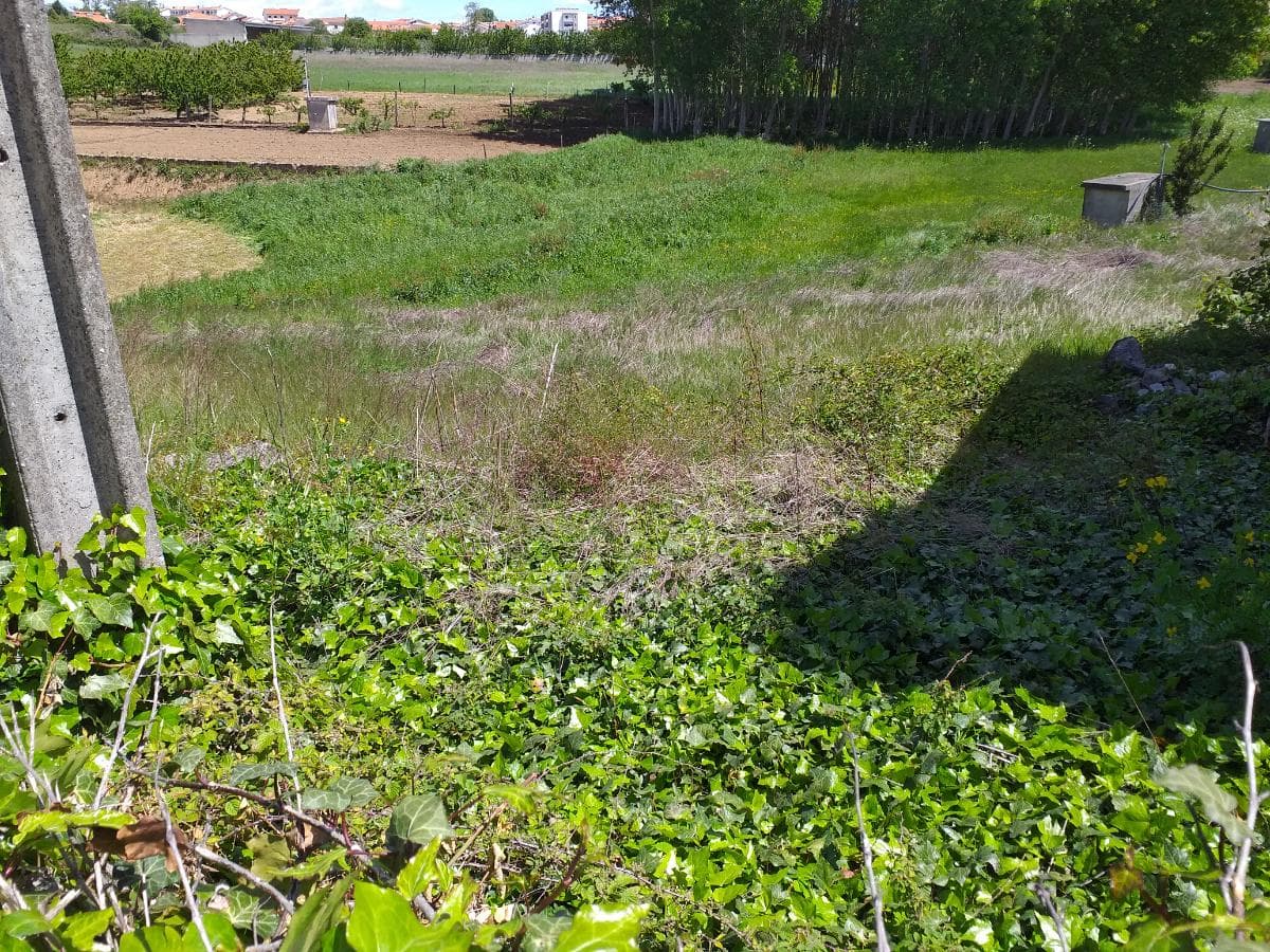 1/2 de Terreno · Valpaços — imagem 2