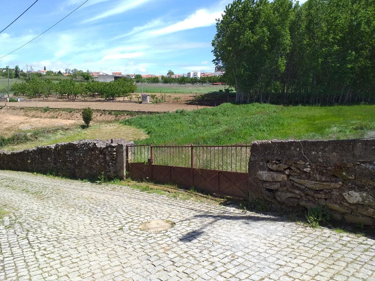 1/2 de Terreno · Valpaços — imagem 5