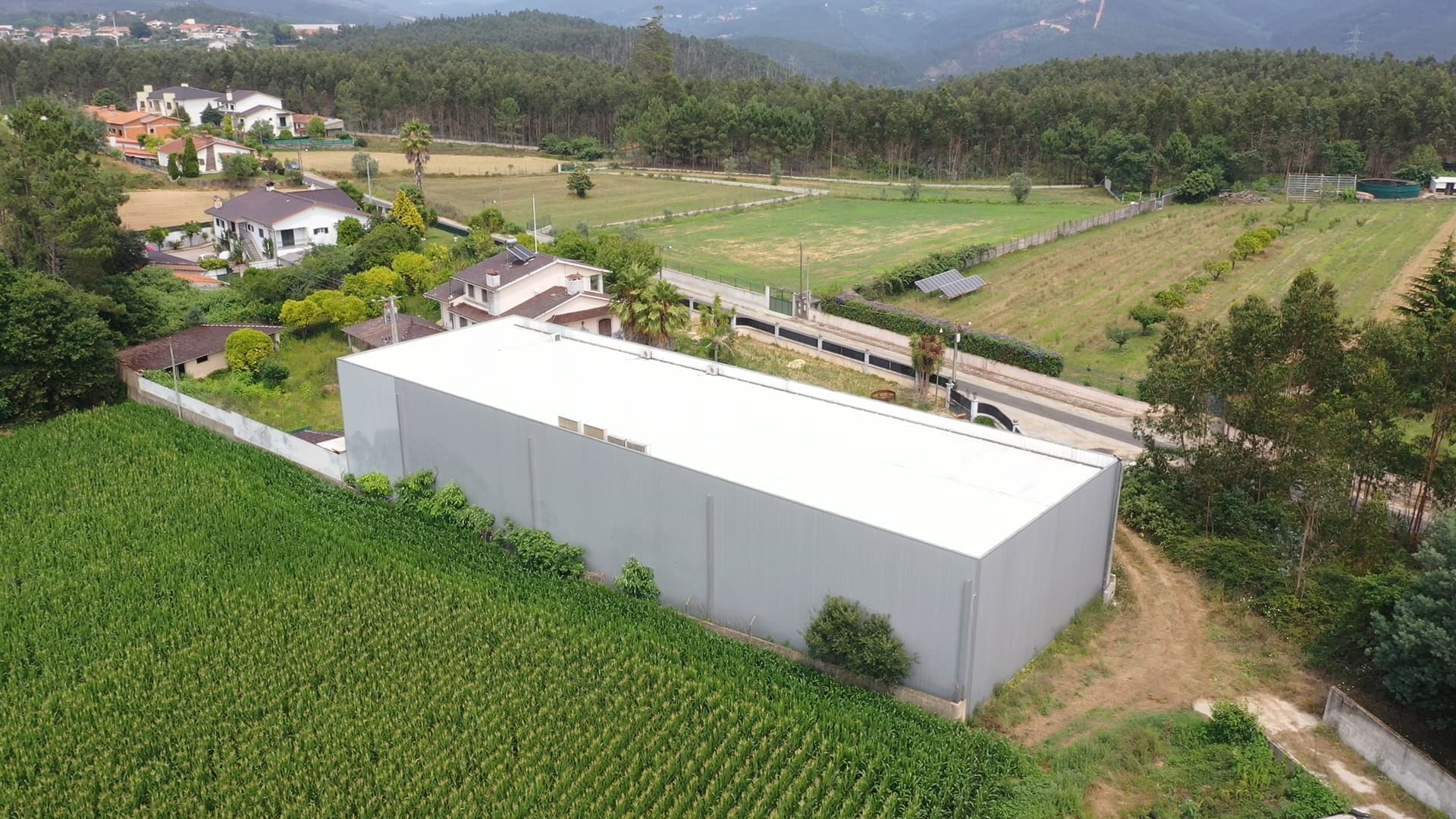 Armazém Industrial com Câmaras Frigoríficas · Águeda — imagem 4