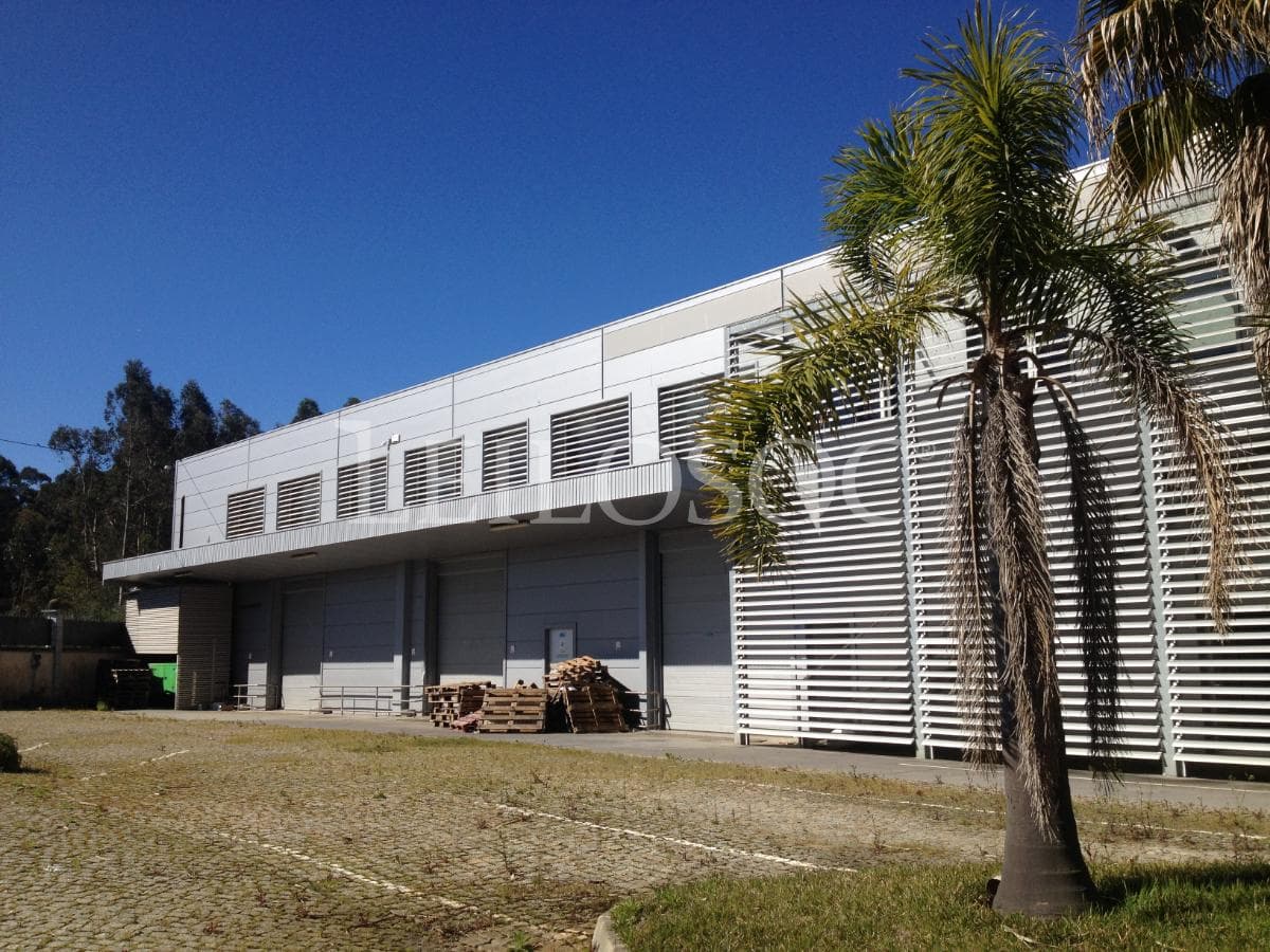Armazém Industrial com Câmaras Frigoríficas · Águeda — imagem 9