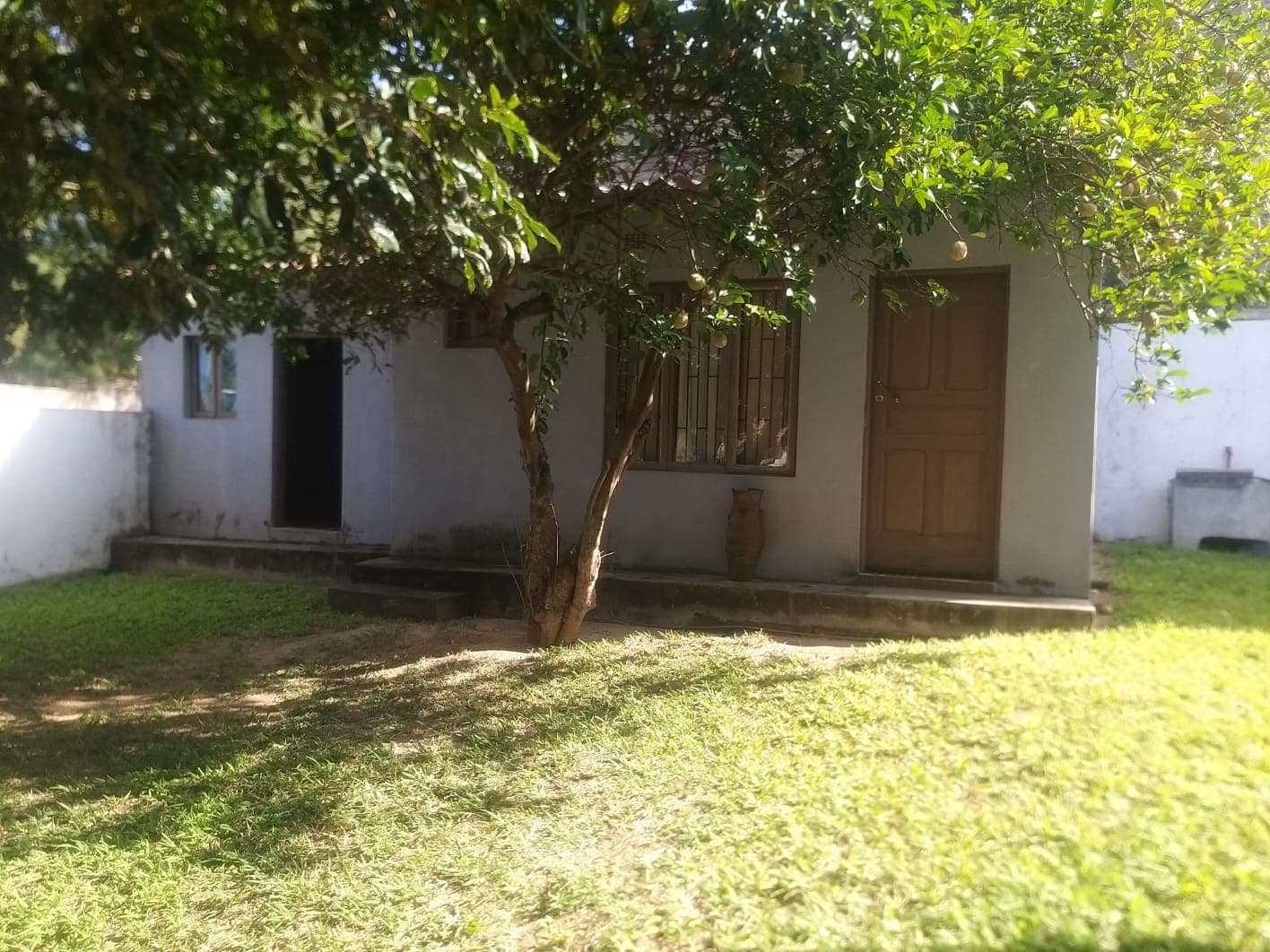 Moradia T2 · Bilene — imagem 10
