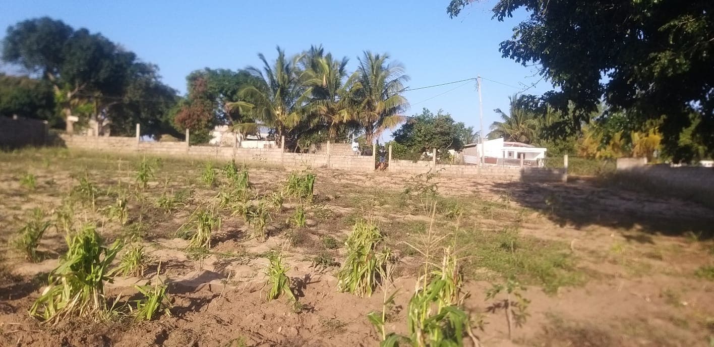 Infraestruturas em terreno — imagen 5