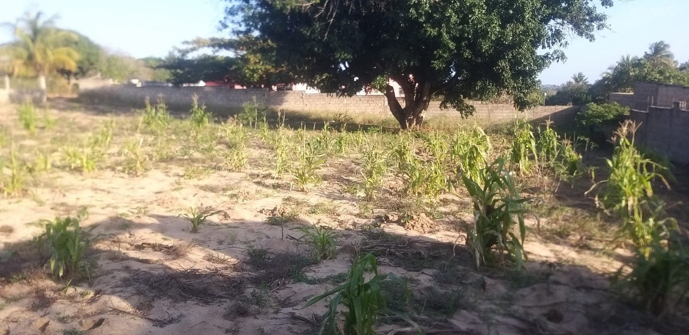 Infraestruturas em terreno — imagen 7