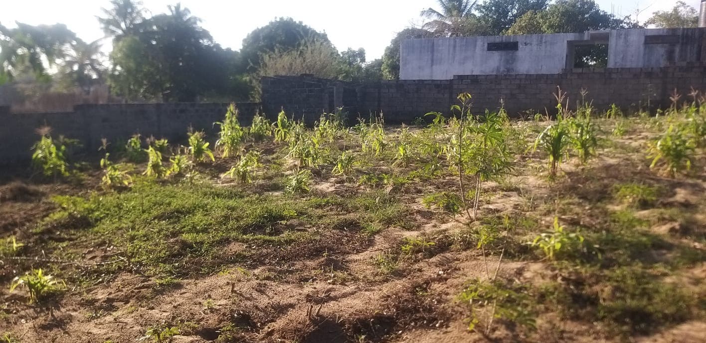Infraestruturas em terreno — imagen 3