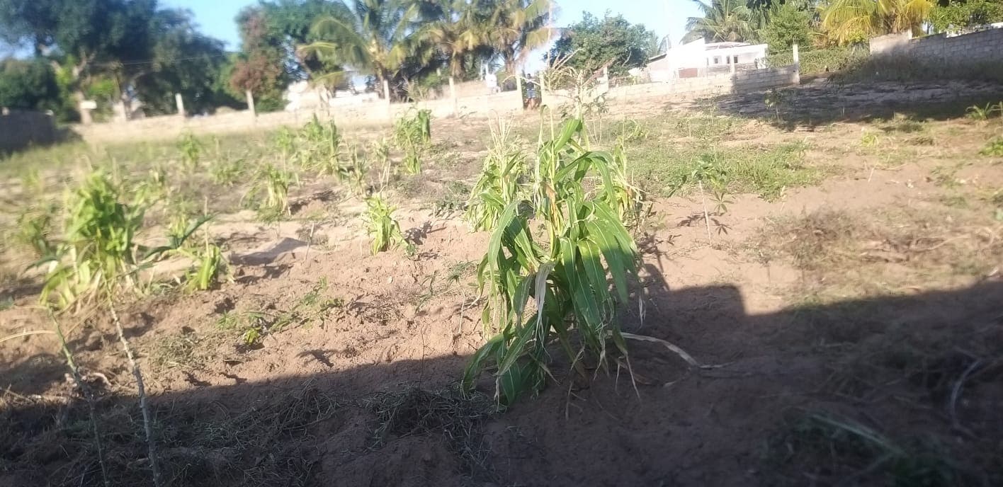 Infraestruturas em terreno — imagen 9