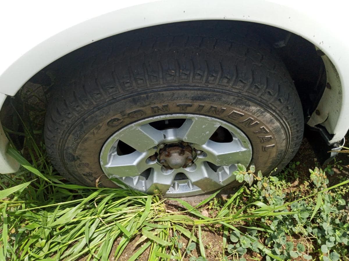 GWM Steed 5 — image 9