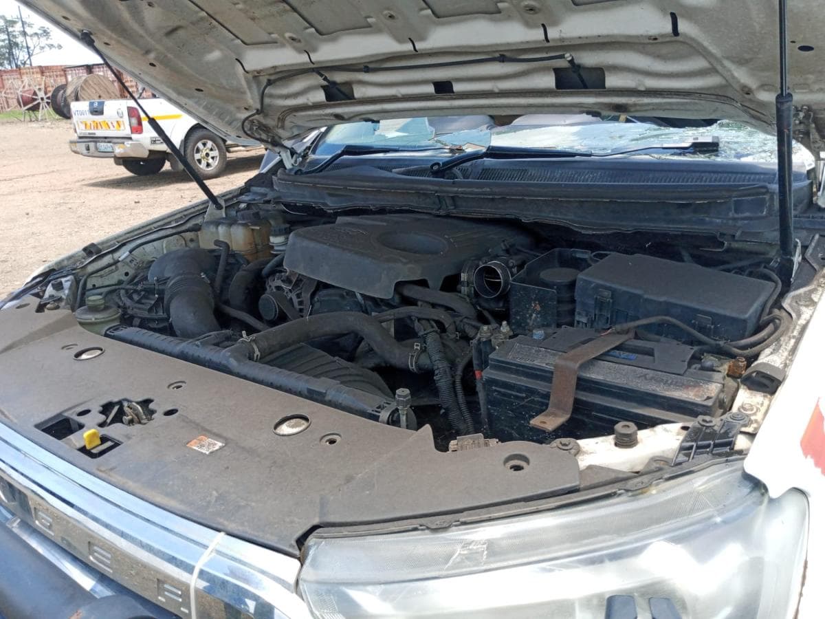 Ford Ranger — imagen 3