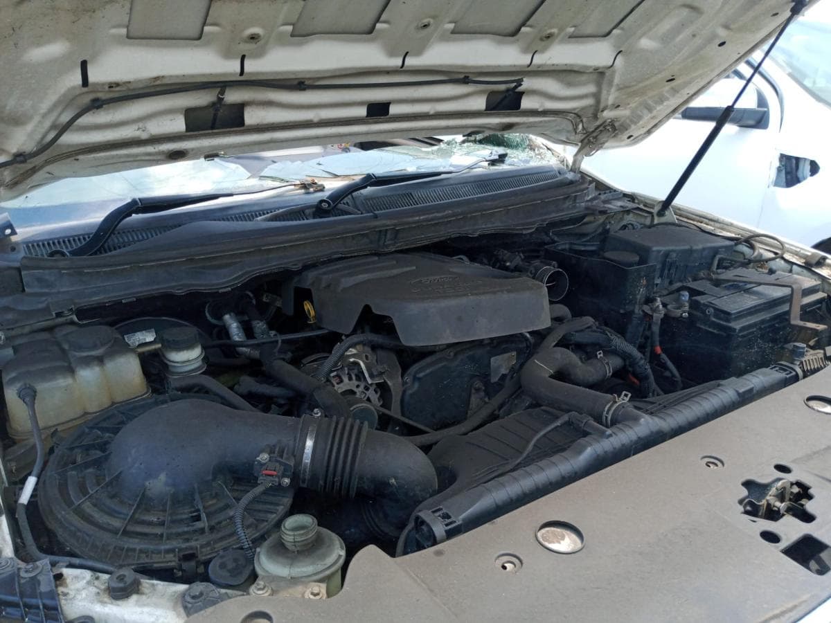 Ford Ranger — imagen 8