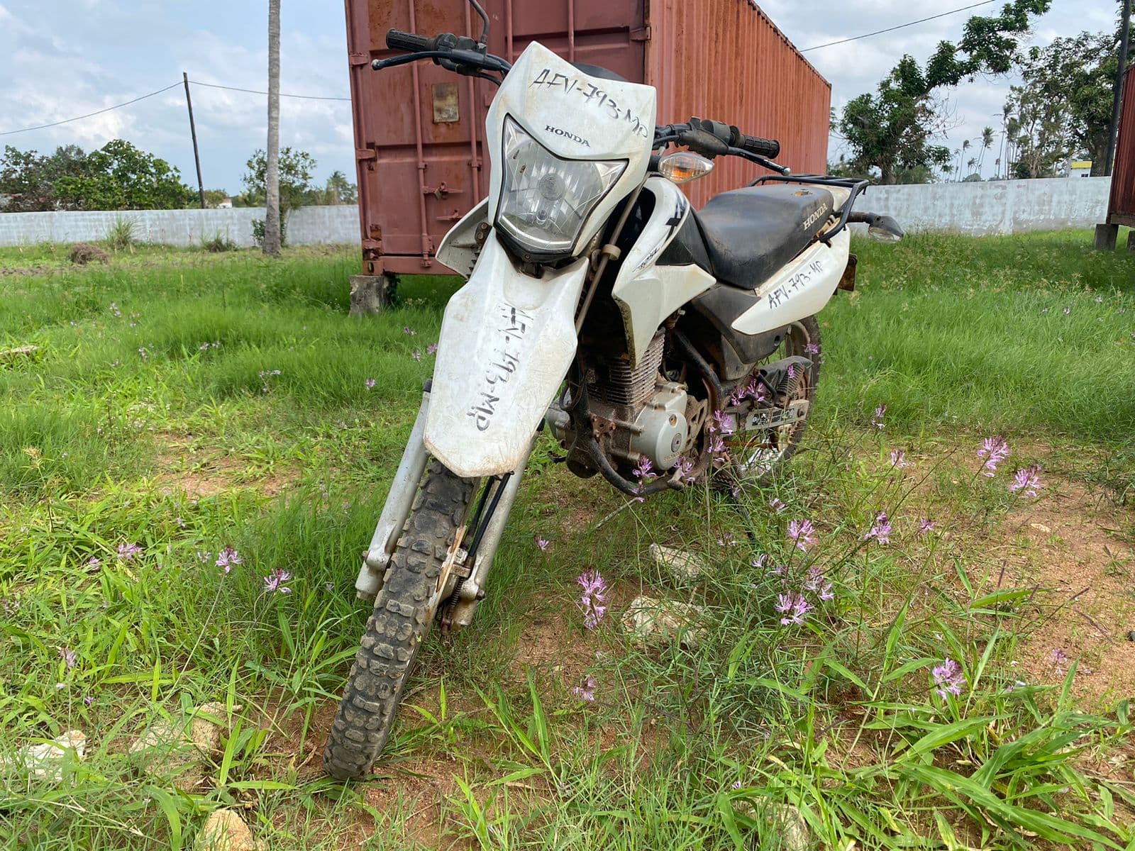 Motorizada — imagem 2