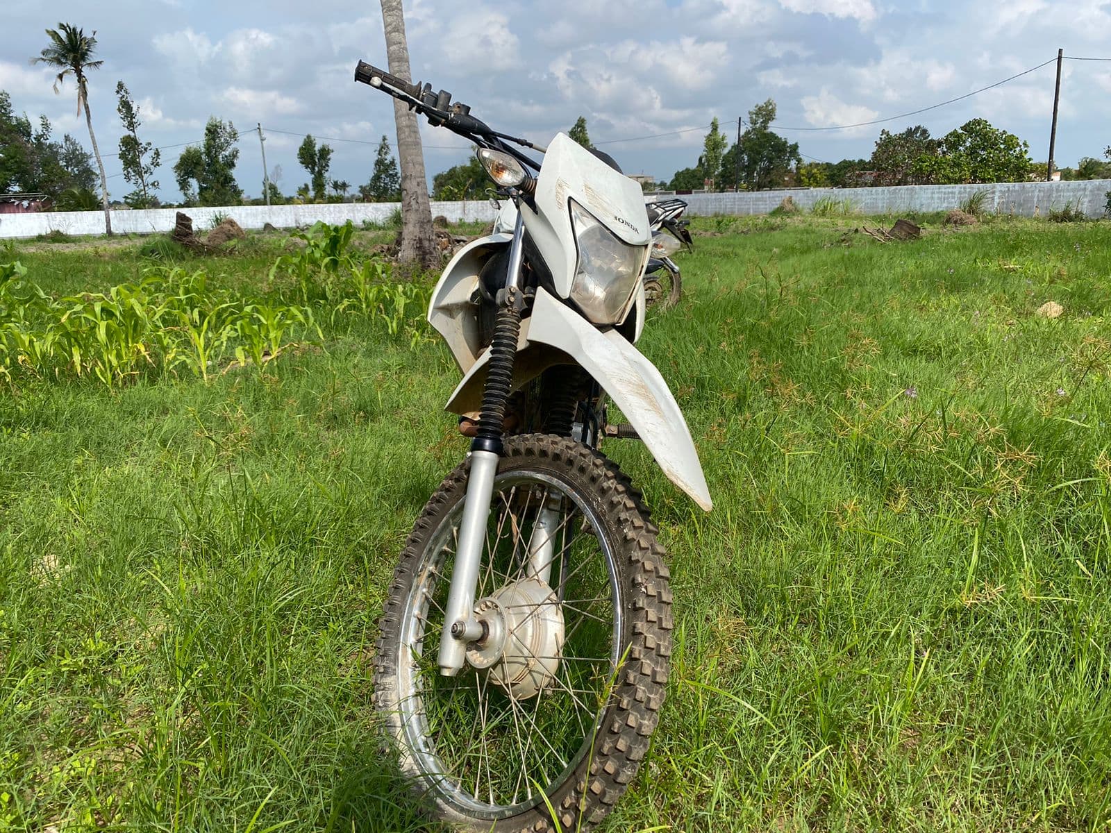Motorizada — imagem 4