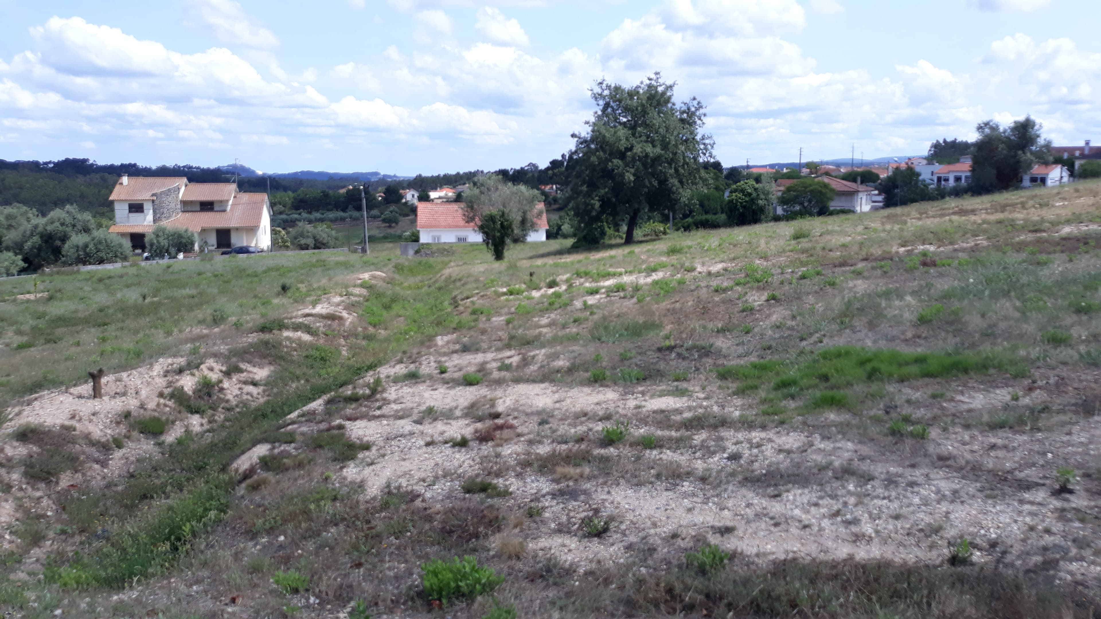 Lote para Construção · Leiria — imagem 2