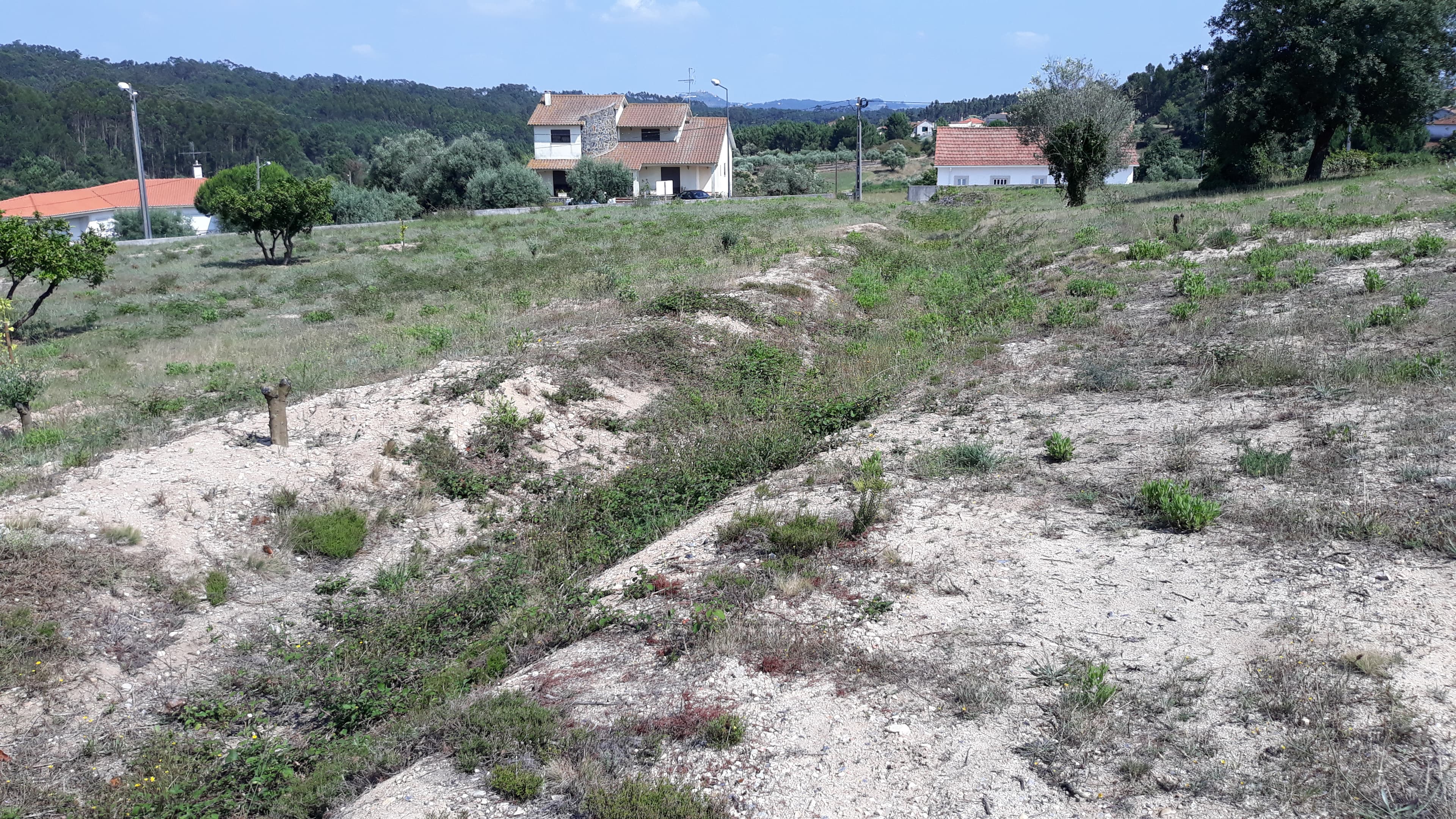 Lote para Construção · Leiria — imagem 1
