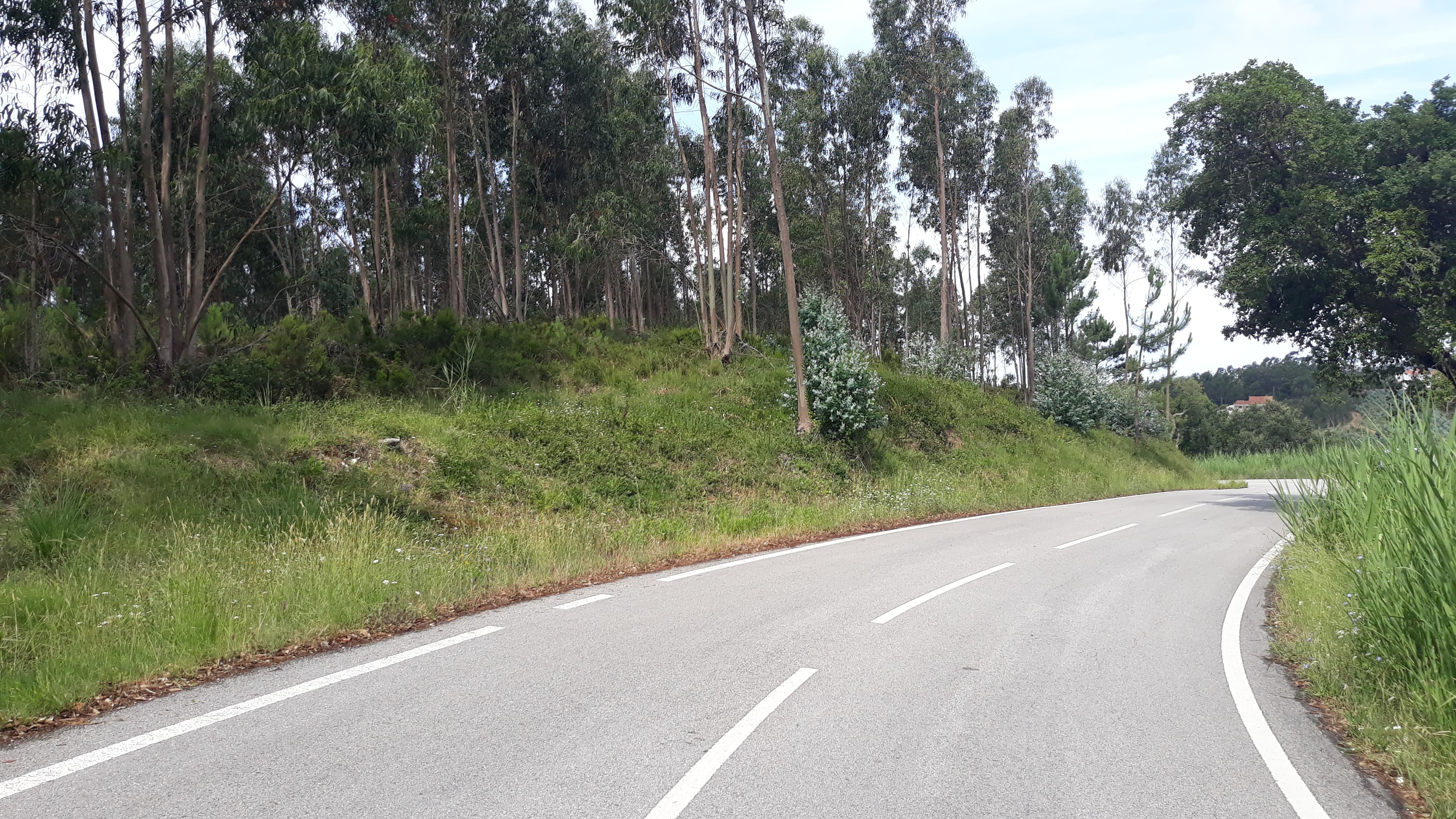 Terreno · Figueira da Foz — imagen 3