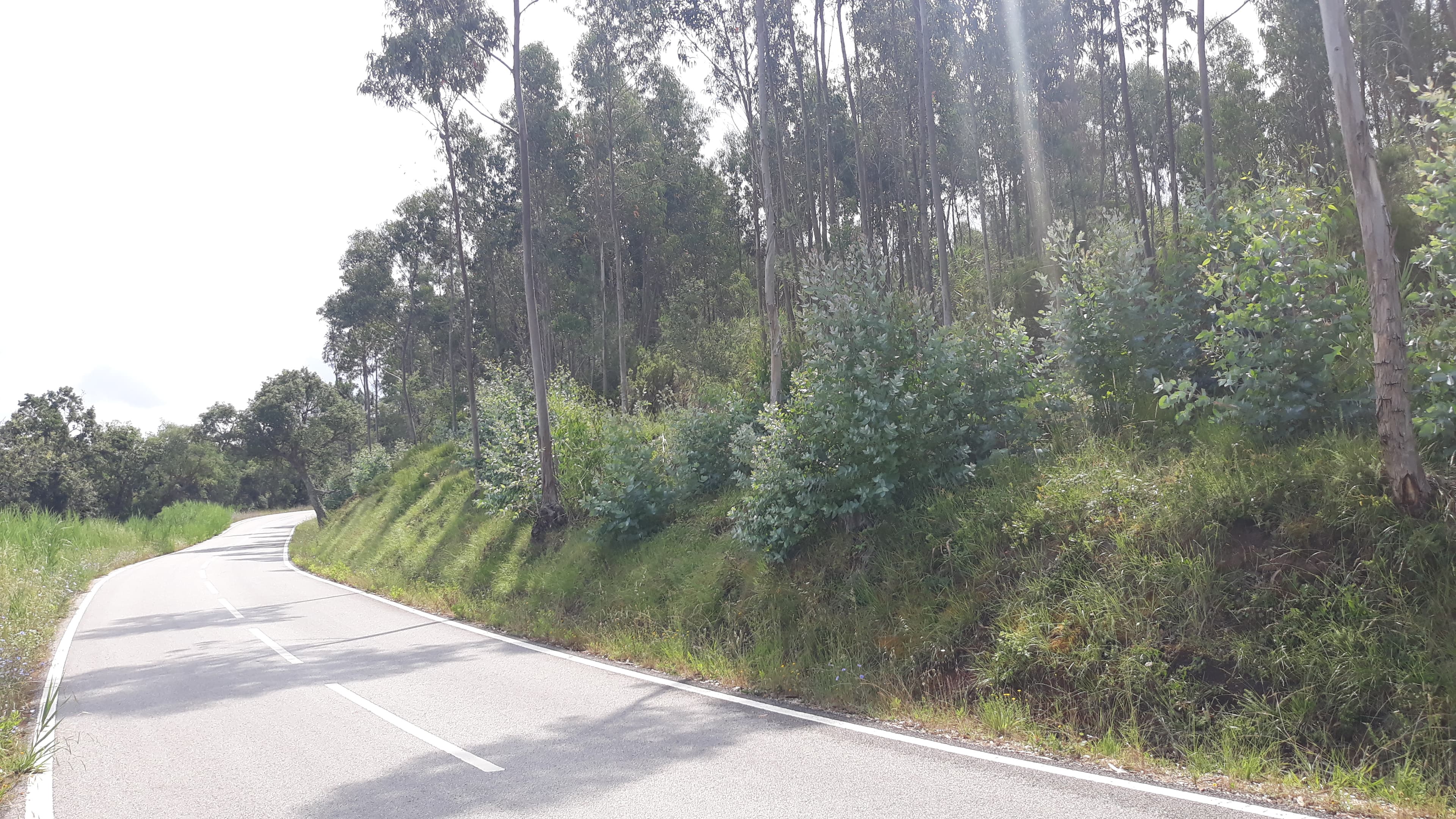 Terreno · Figueira da Foz — imagen 6