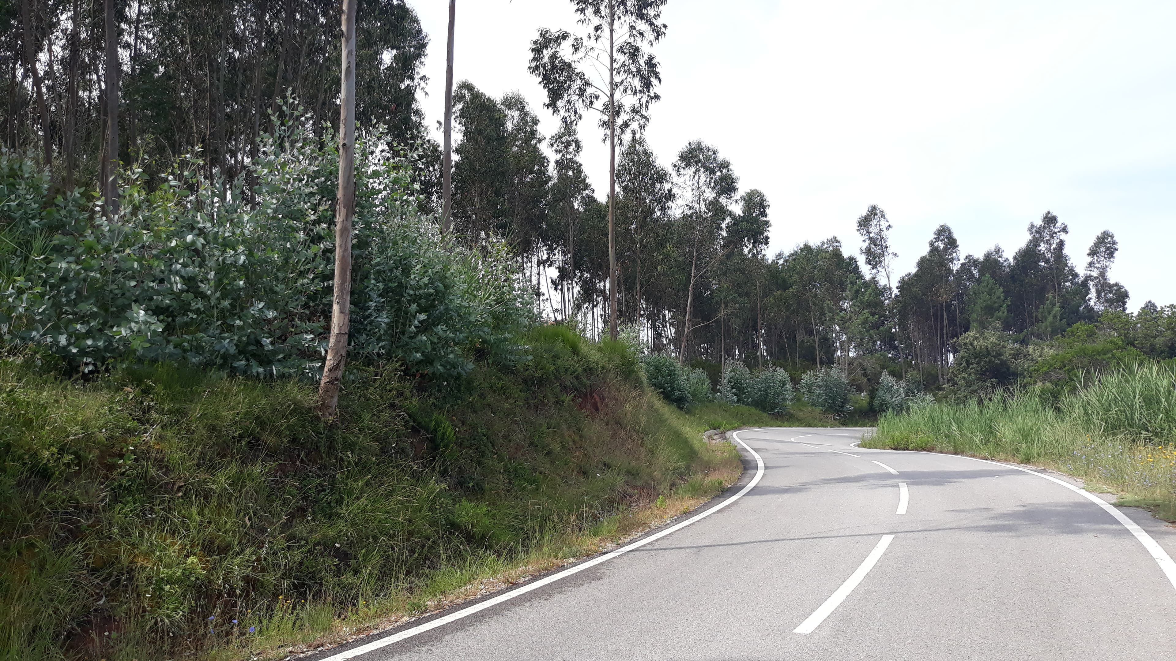 Terreno · Figueira da Foz — imagen 7
