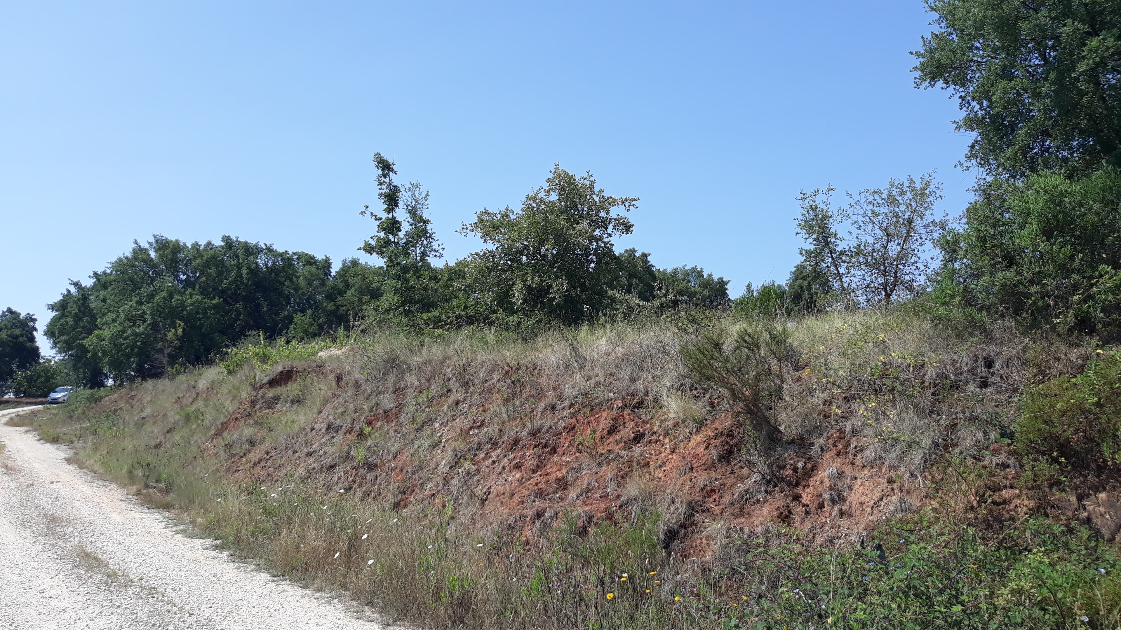 Terreno · Santarém — imagem 2