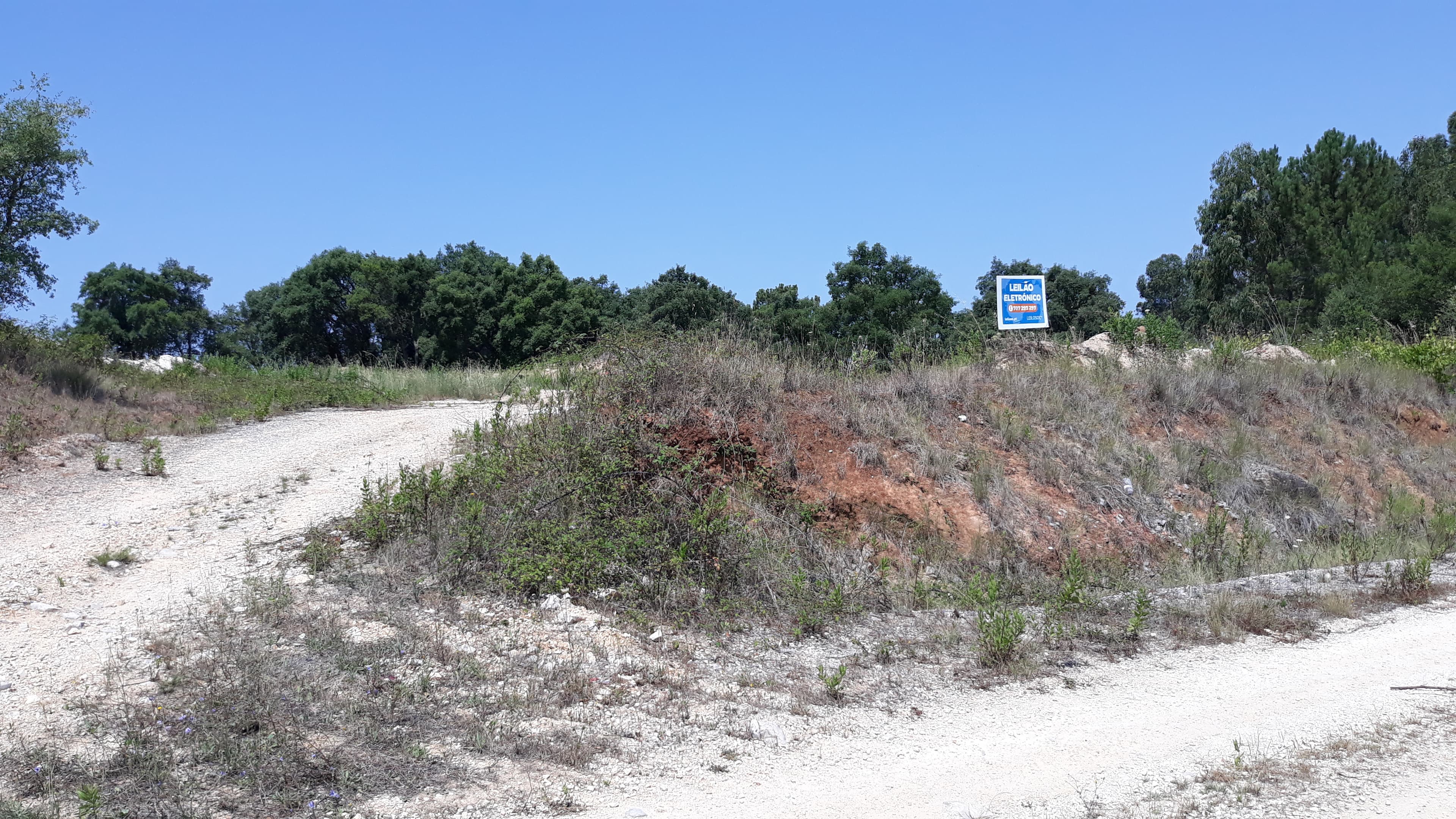 Terreno · Santarém — imagem 1