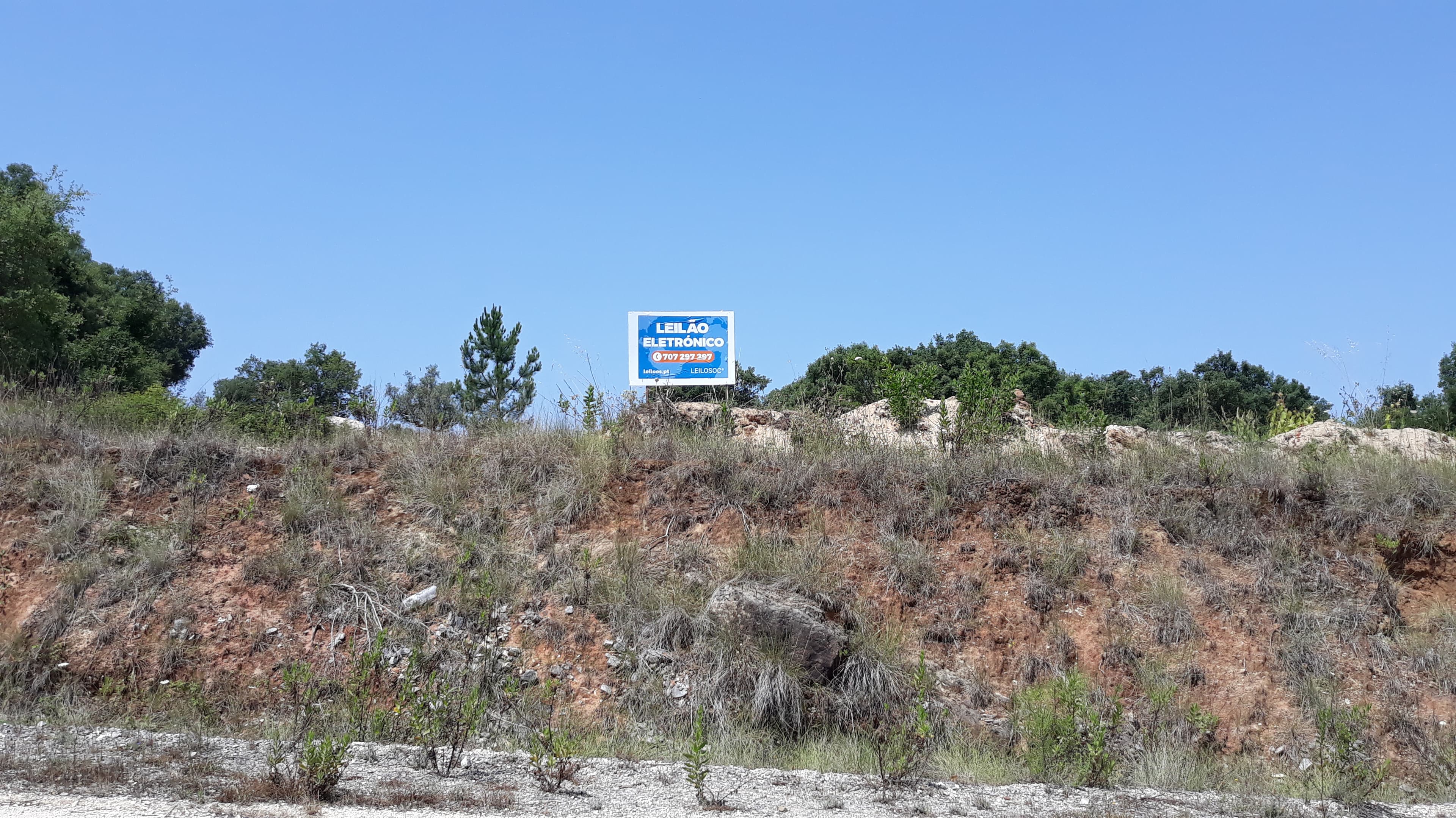Terreno · Santarém — imagem 7
