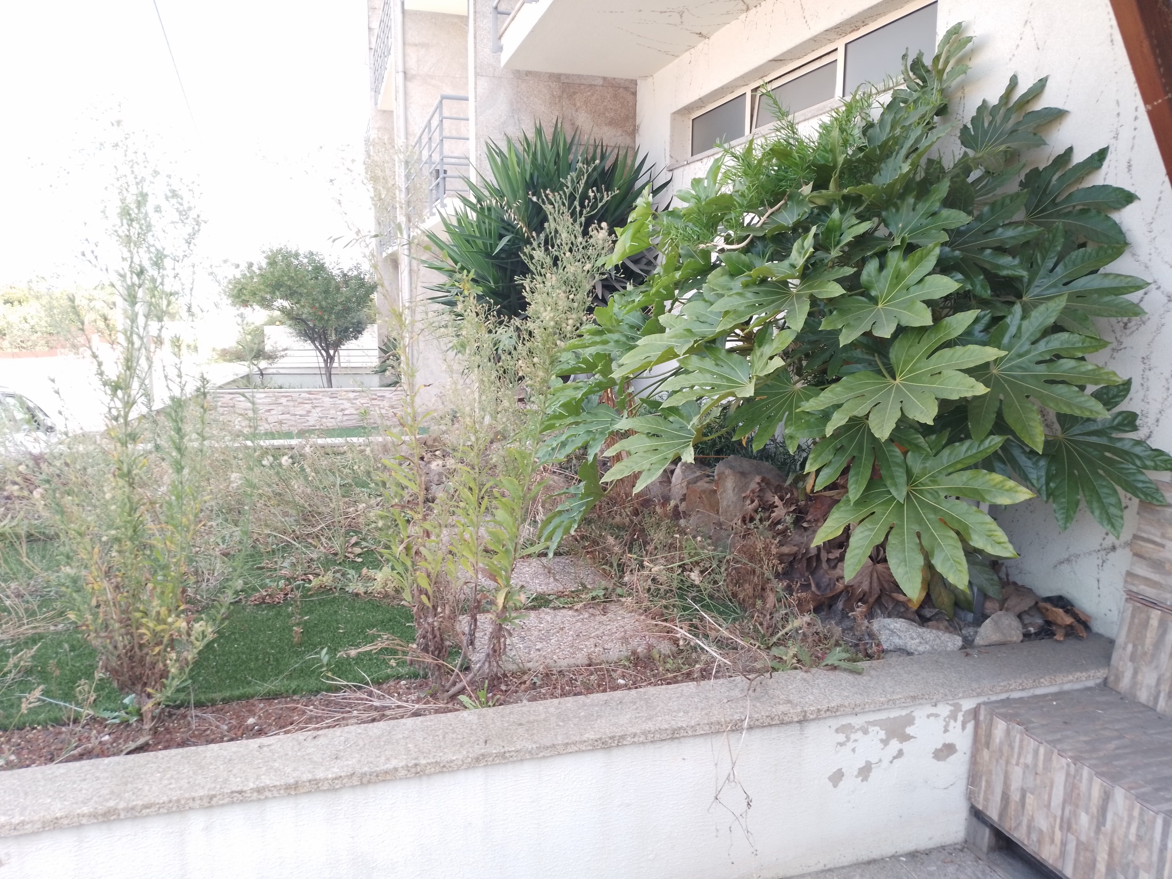 Moradia V3 · Lousada — image 4