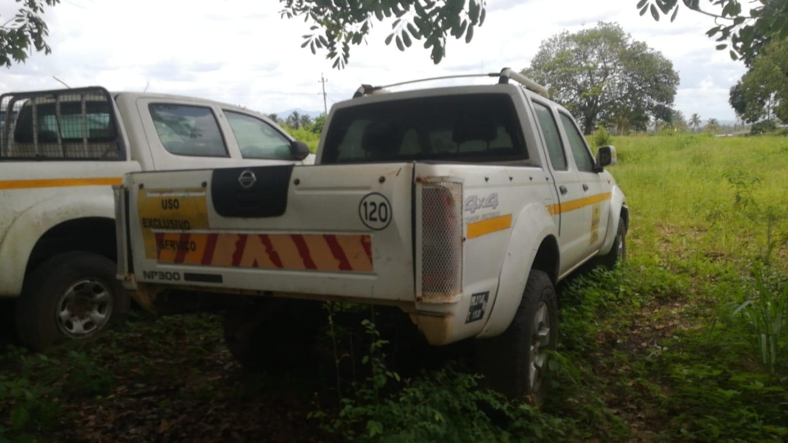 Nissan Hardbody — imagem 8