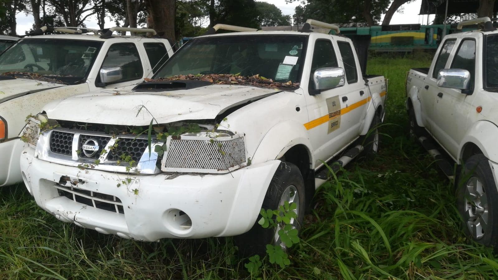 Nissan Hardbody
